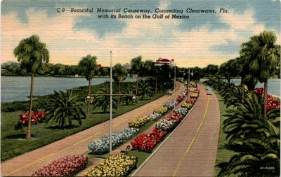 Memorial Causeway, Clearwater, Fla, Gulf of Mexico, St. Petersburg, Postcard