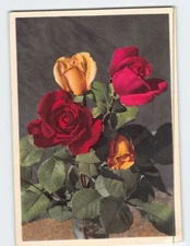 Postcard Beautiful Roses
