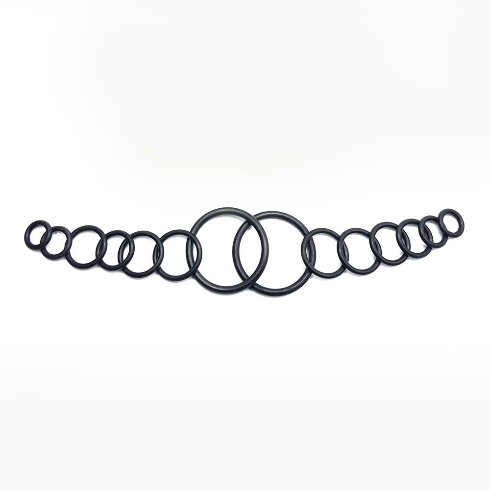 Juego de juntas tóricas surtidas para reparación de grifos Thrifco 4400866