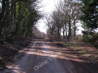 Foto 12x8 Dere Street Barton \/NZ2308 Ein verlassener Abschnitt der Dere Street c2010