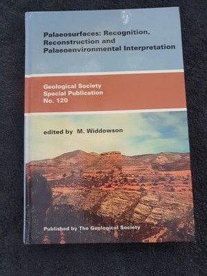 Palarosurfaces: Recognition, Reconstruction And Palaeoenvironmental...