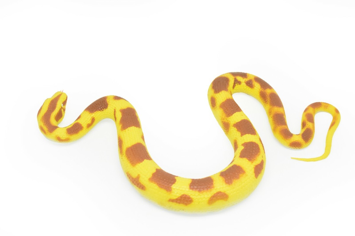 Yellow Burmese Python Snake Toy, Educational, Very Nice Rubber 12