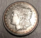 1884 morgan silver dollar no mint mark
