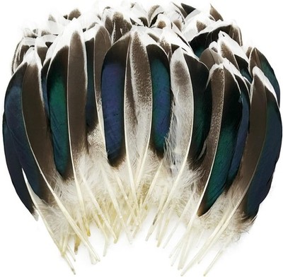 200pcs Duck Feathers Natural Spotted Feathers Wild Turkey Feather for Crafts Hat