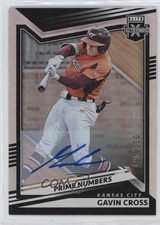 2022 Elite Extra Edition Prime Numbers A Signatures /210 Gavin Cross Auto 0q3h
