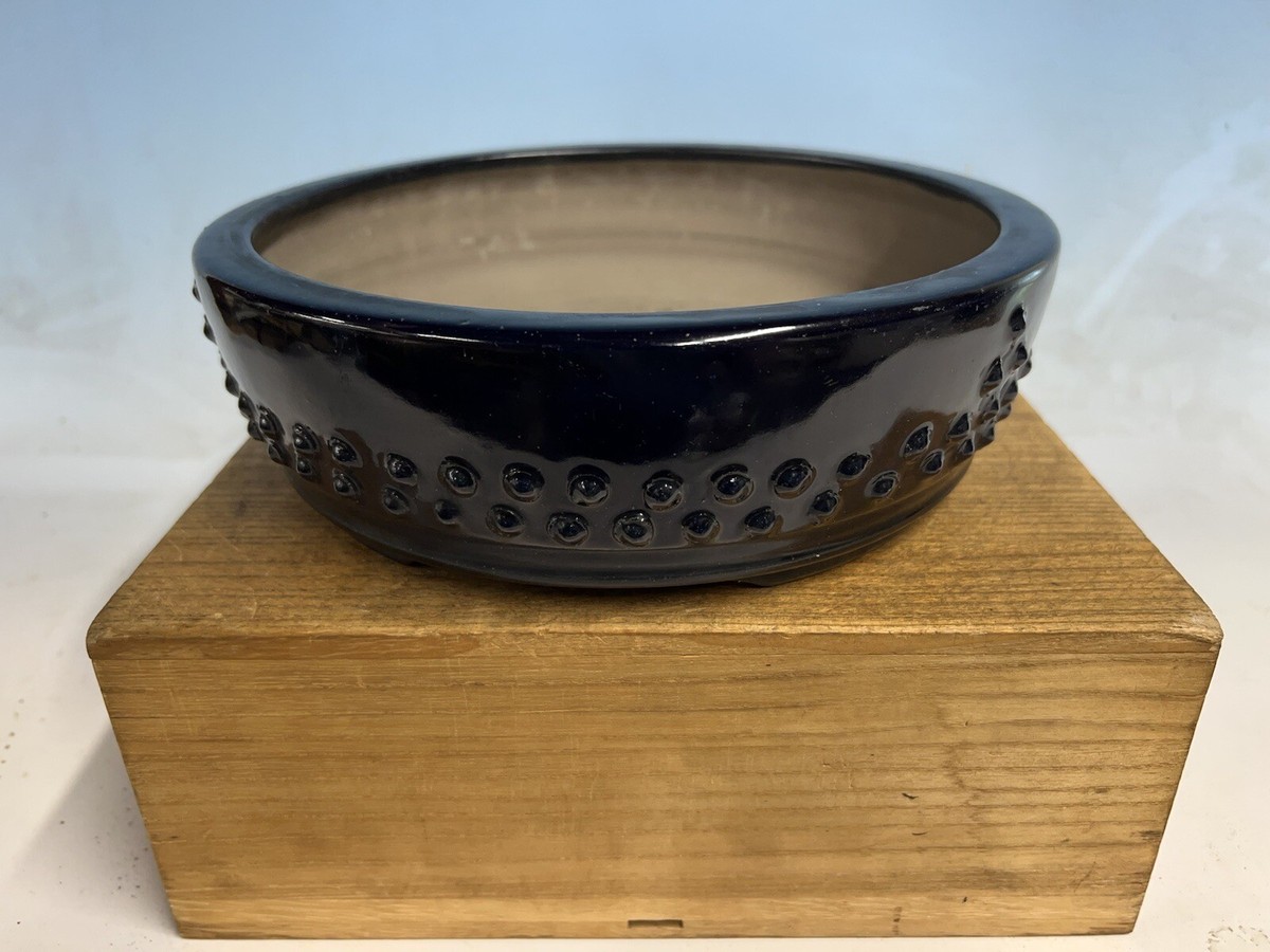 Dark Blue Glaze Tokoname Bonsai Tree Pot By Tachibana 9 5/8