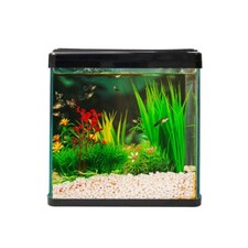 Swell Small Nano Aquarium 30cm 18.5 ltr | Aquaventure Fish Tank
