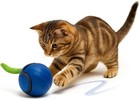 Interactive Cat Toy Ball USB Rechargeable w/ Tail Smart Motion Pet Toys Indoor