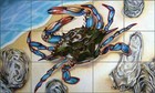 Blue Crab Tile Backsplash Nancy Jacey Sea Life Art Ceramic Mural CPA-NJ15060