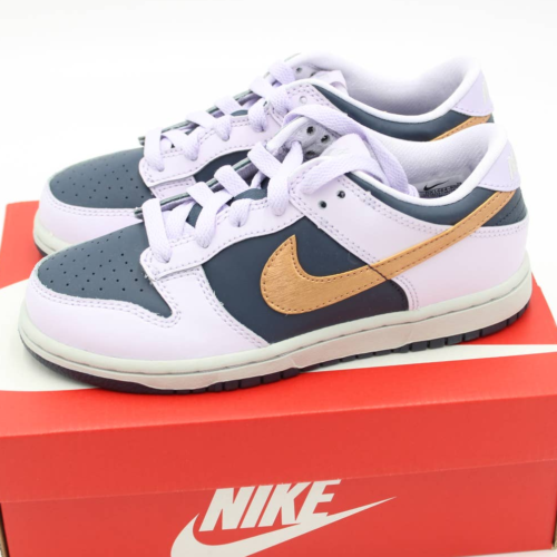 Nike Dunk Low SE Copper Swoosh (PS) Size 1Y Style DX1664 400