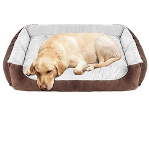 kong large dog bed