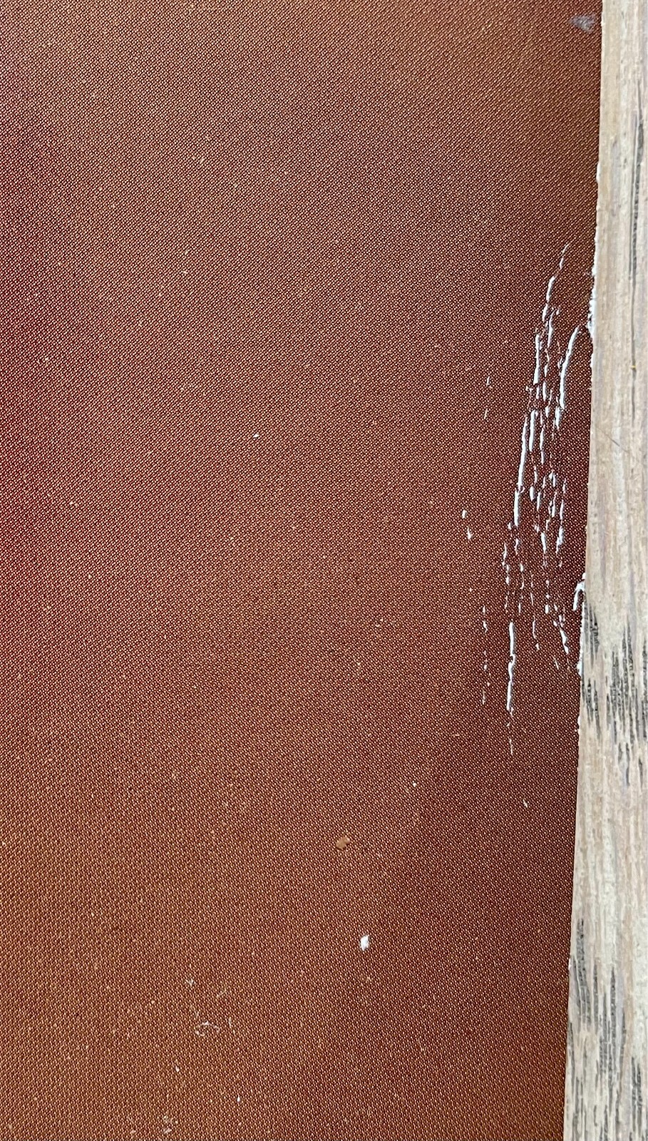 Picture 4 of 5