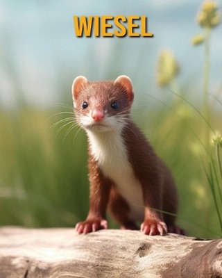 Wiesel: Buch mit lustigen Fakten f?r Kinder by Nicole Oberski Paperback Book