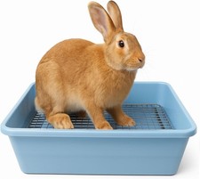 Litter Box with Metal Grate &ndash; Easy to Clean XL Jumbo Bunny Potty Trainer
