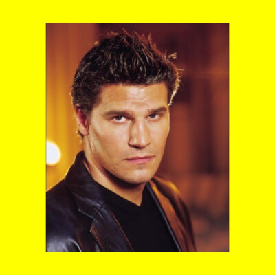 David Boreanaz - Buffy The Vampire Slayer - 8 x10 Photo Printed at a