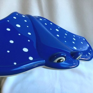 bright starts mr ray