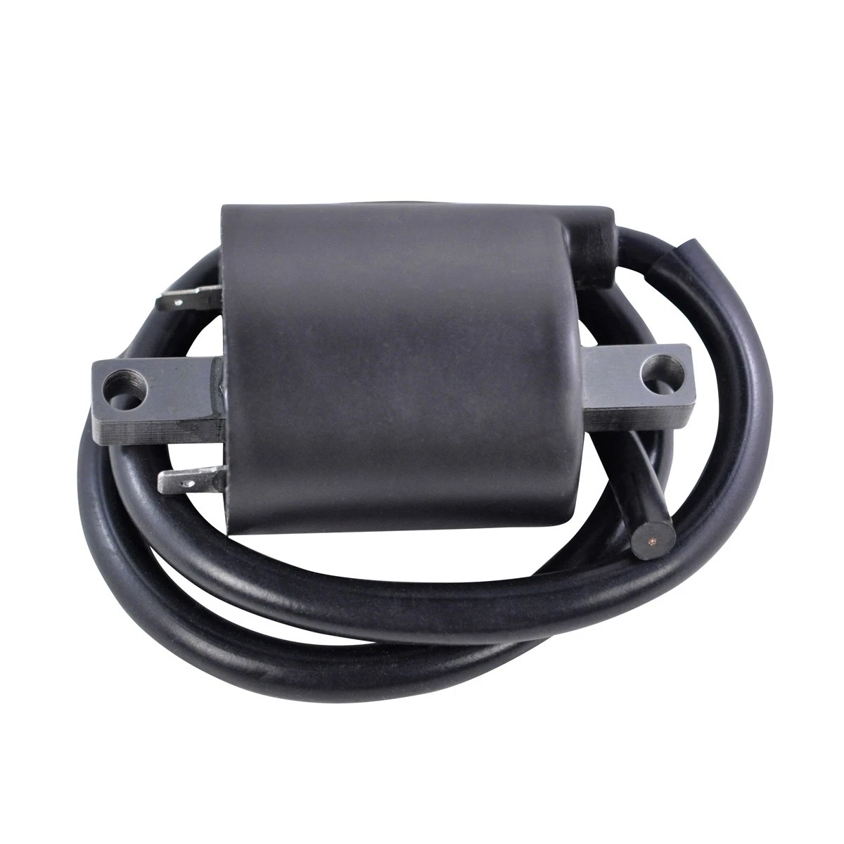 Labwork Ignition Coil & Spark Plug Kit For Yamaha V Star 650 XVS650 Custom (1998-2016) – 2 Coils + 2 Plugs