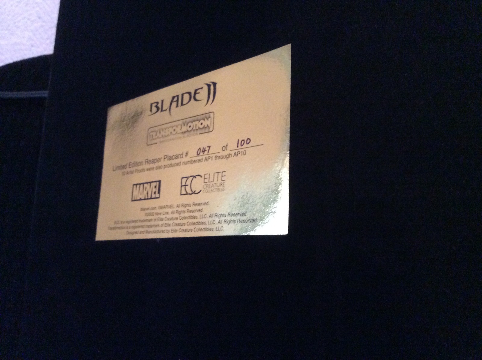 Picture 8 of 12
