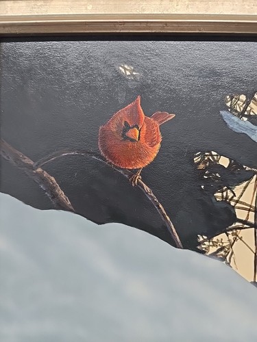 Raymond J Easton Acrylic / Board Painting Cardinal In Snow North American Birds - Picture 19 of 24