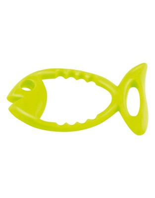 Fashy Fish Diving Ring