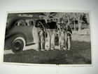 Family Fishing Trip Old Car Vtg 1950's Medium Format Film Negative Photograph — photo 2