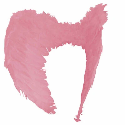 KAUF-4YOU Engelsflügel Engel Flügel 60 x 40 glänzend Kostüm für Karneval Fasching (rosa)