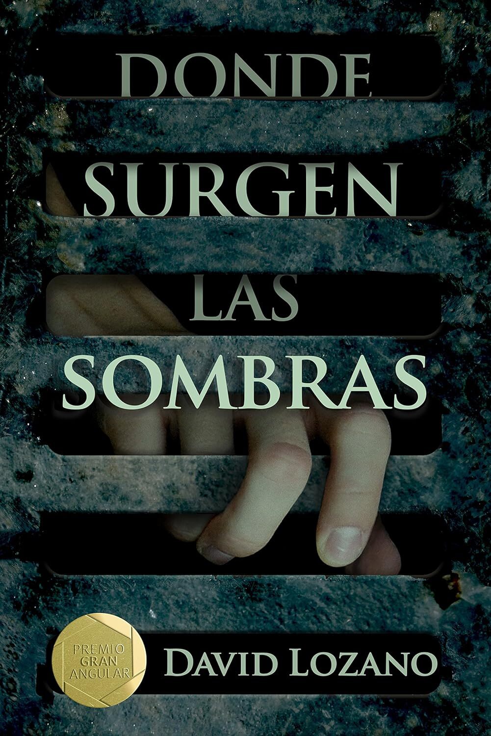 9788467596854 Donde surgen las sombras - David Lozano Garbala