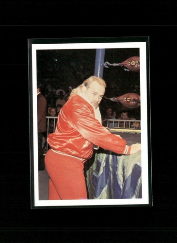 1988 Wonderama NWA Kevin Sullivan #91 card