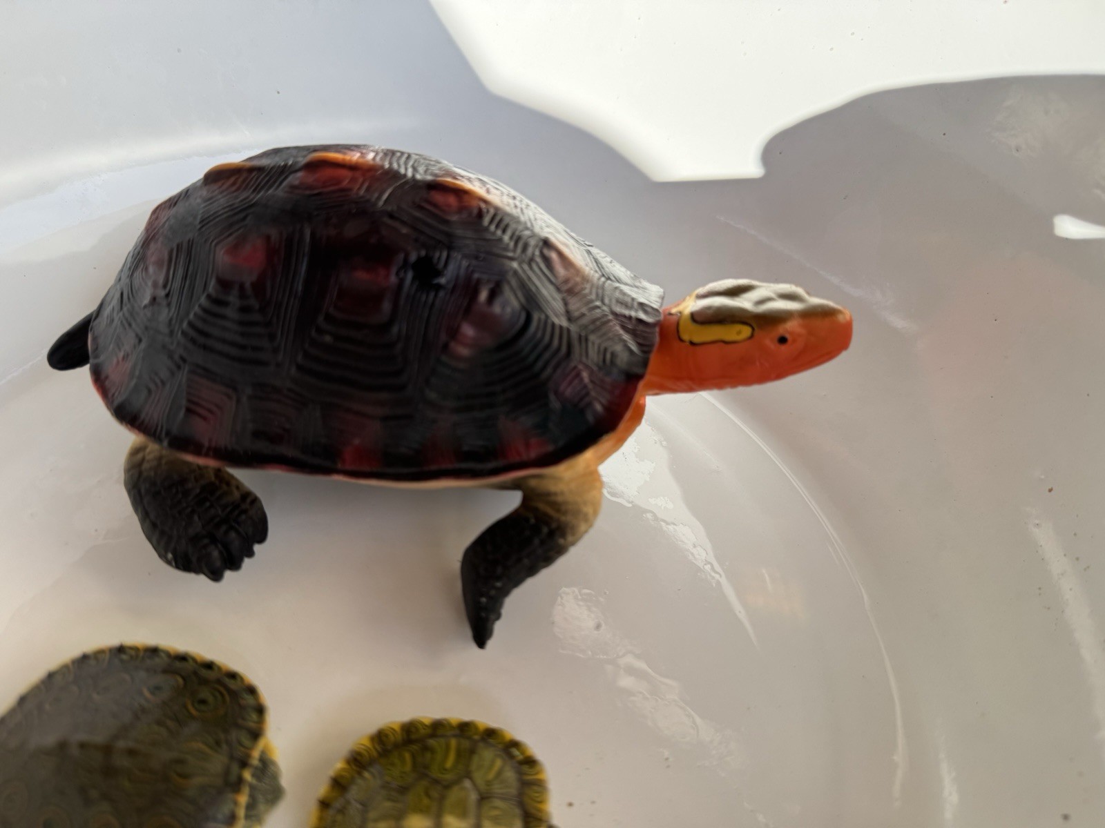 Tortugas en venta muy realistas