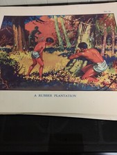 VINTAGE 1930s School Print - A Rubber Plantation 