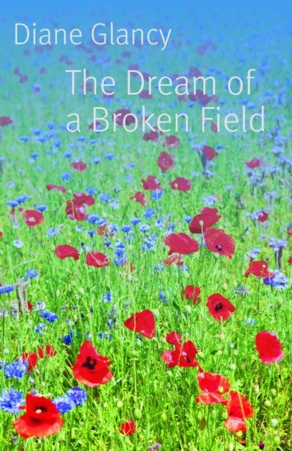 The Dream of a Broken Field by Diane Glancy PAPERBACK 9780803234819