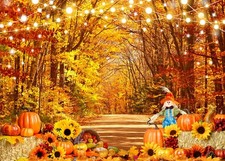 Autumn Fall Photography Backdrop, 6x4FT, Thanksgiving Theme, cp-553, Vinyl