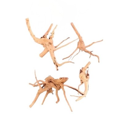 X4 Azaleenwurzel / Spinnenholz 15-20 cm Naturdeko Aquarium 