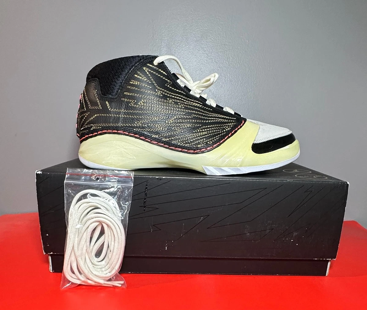 Titan x Air Jordan 23 Retro SP 10th Anniversary for Sale