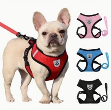 Dog Cat Pet Harness Adjustable Control Vest Reflective  M&L includes Leash (G)