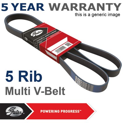 4PK780-2 años de garantía! Marca Nuevo Gates Correa Acanalada V