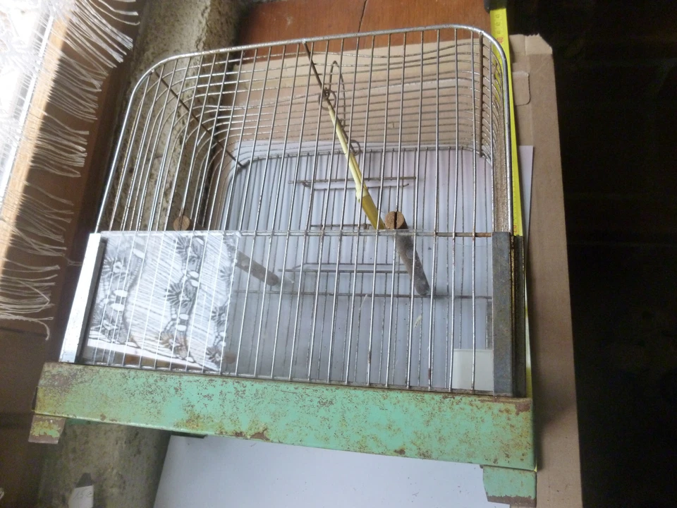 ancienne cage à oiseaux volière en fer - Photo 2/4