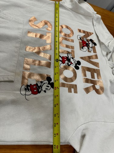 Disney Junior Mickey Mouse Sweatshirt Hoodie Ivory size XL 15-17 *Stain - Picture 5 of 12
