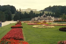 1976 ch at restaurant Slide 35mm Schonbrunn Palace Gloriette Fountain Vienna