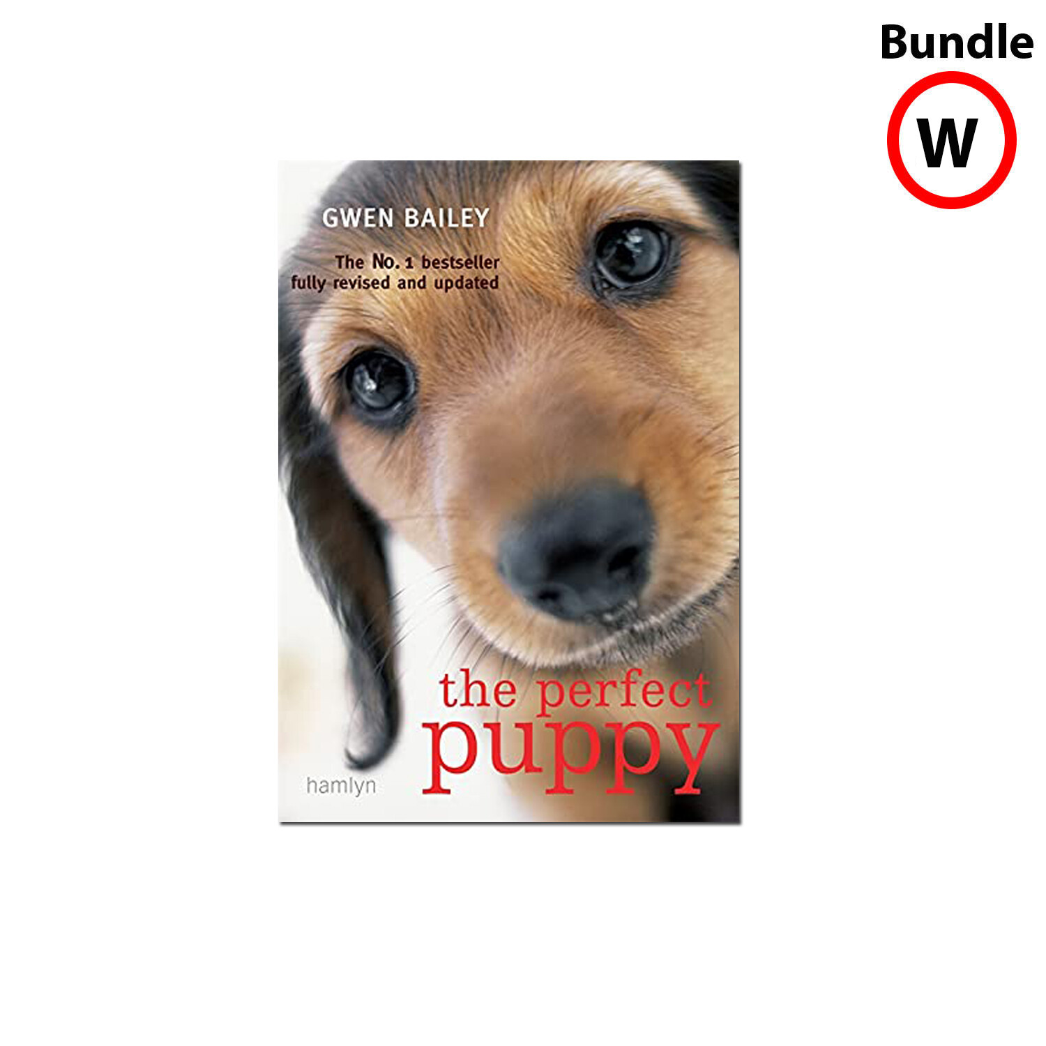 Brain teasers for dogs Quick and easy homemade puzzle games by Christina Sondermann (Paperback