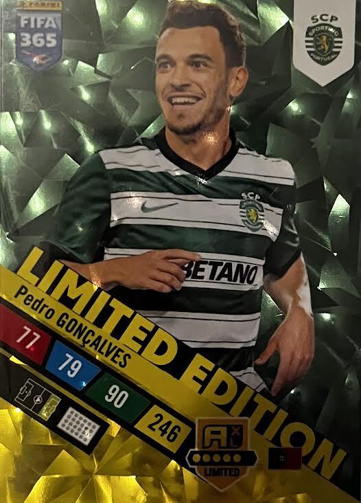 Zdjęcie 92 z 97