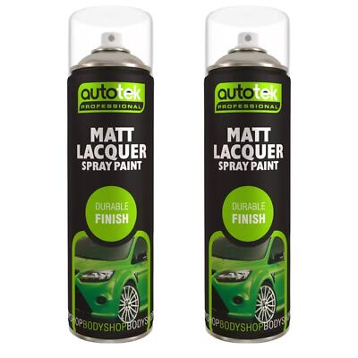 AutoTek Mattlack Mehrzweck-Aerosol-Sprühlack 500 ml x2