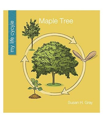 Maple Tree, Susan H. Gray