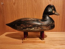 Rare 1800s H.V. Shourds Hollow Drake Goldeneye Wooden Duck Decoy Tuckertown NJj