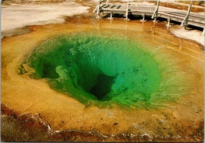 Postcard - Morning Glory Pool - Yellowstone National Park - Size: 5.75'' X 4''