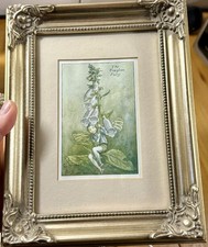 Vintage Cicely Mary Barker Foxglove Fairy Small Gold Framed Print