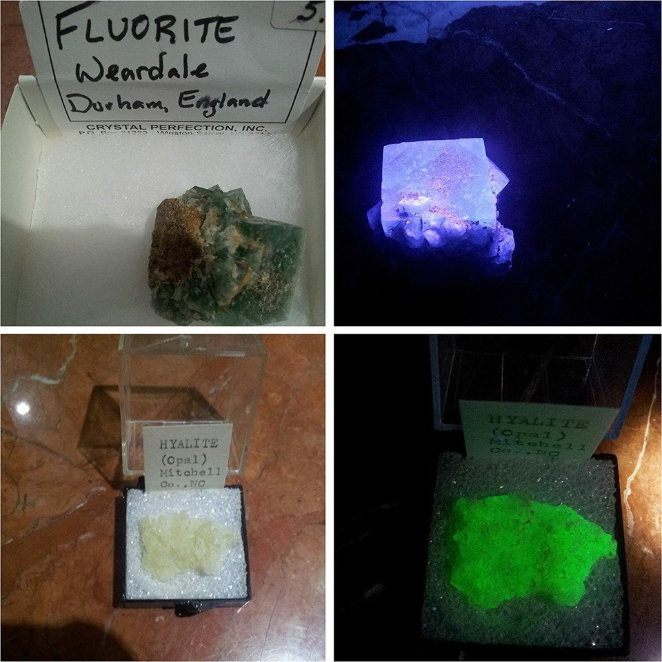 Torcia HQRP Rilevazione Torcia UV A Luce Nera 365 Nm HQRP – 12 LED Ultravioletti, Per Rilevamento Macchie, Sicurezza, Collezionismo Pila Uv - Foto 3