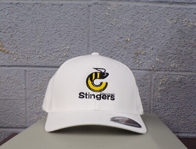 Flexfit WHA Hockey Team Cincinnati Stingers Embroidered Hat Ball Cap New
