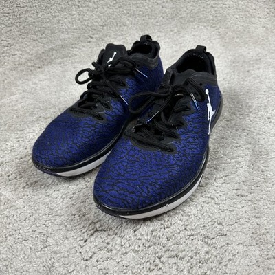 Jordan Trainer 1 Low Shoes Mens Size 9.5 Elephant Print Concord 845403-003