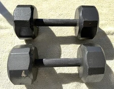 PAIR OF 10 LB. SAGEAR DUMBELLS AS PICTURED